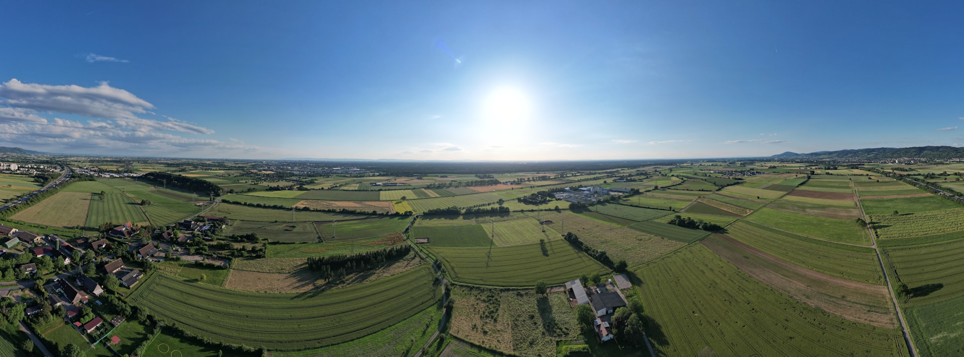 Aerial view of green organic farmland